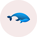 农历小日历小程序ico