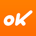 OK车险Lite小程序ico
