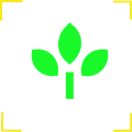 拍照识植物小程序ico