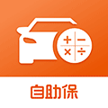 平安车险自助保小程序ico