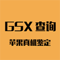 苹果GSX查询小程序ico