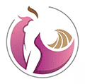 钱潮辣妈小程序ico