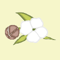 轻絮定制小程序ico