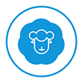 全民羊毛党小程序ico