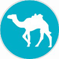 去哪儿旅游度假小程序ico