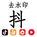 去去去去水印小程序ico