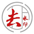 去水印DY小程序ico