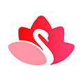 赛芙蓉小程序ico