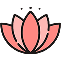啥花小程序ico