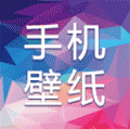 手机壁纸助手小程序ico