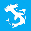 双髻鲨小程序ico