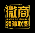 思埠领袖联盟小程序ico