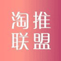 淘推优惠券小程序ico