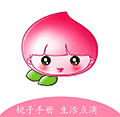 桃子手册小程序ico