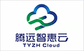 腾远智惠云小程序ico