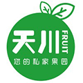天川果园小程序ico