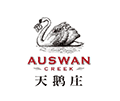 天鹅庄小程序ico