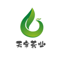 天宇茶业小程序ico