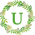 U券券小程序ico