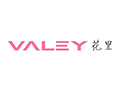 valey花里小程序ico