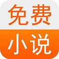 VIP小说小程序ico