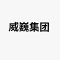 威巍集团小程序ico