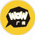 wow广州小程序ico