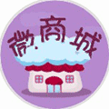 微商城模板演示小程序ico