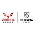 五菱宝骏用户服务+小程序ico