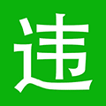 违章查询绿色通道小程序ico