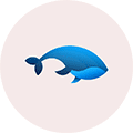 小观止小程序ico