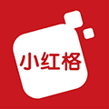 小红格店铺小程序ico