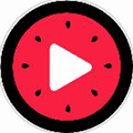 西瓜视频集小程序ico