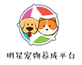 星宠小程序ico