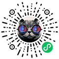 星猫去水印小程序ico