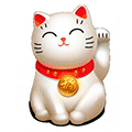 小猫进店会员管家小程序ico
