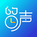 讯飞留声Lite小程序ico