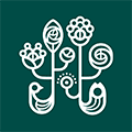野兽派小程序ico