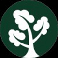英树LucyTeam小程序ico