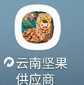 云南坚果供应商小程序ico