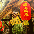 云上菊庐精品民宿小程序ico
