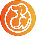 掌宠同城小程序ico