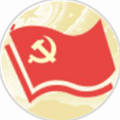 智慧党务小程序ico