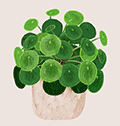 植物养护指南小程序ico
