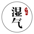 中医湿气自测小程序ico
