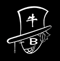 最牛解析小程序ico