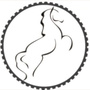跃进信息ico