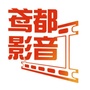 鸢都影音ico
