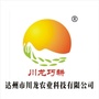 达州川龙农业ico