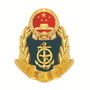 卧龙交通ico